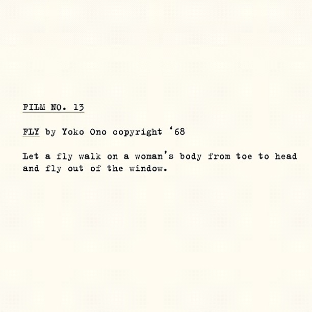 223 – FLY – dr richard stemp